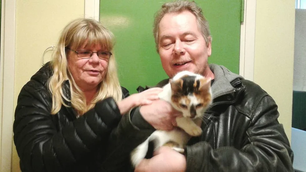 Återförenade. Under onsdagen förenades den företagsamma katten Chelsea med sina ägare Susanne och Peter Ravström.