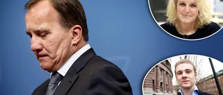 WESTERÉN: "En djärv och spännande lösning"
