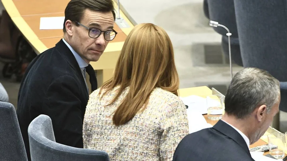 Nu får de röra på sig.