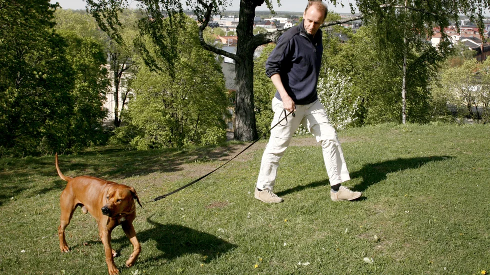 Hussen Håkan Nesser och vovven Norton bytte Uppsala mot New York 2006. 
