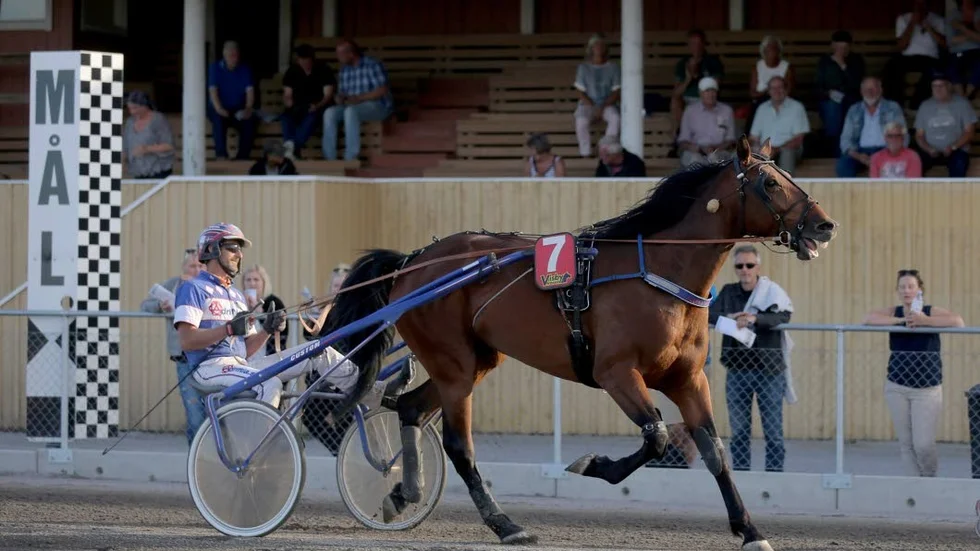 Johan Wimans Henning Lixarve hade en stor dag på Rommetravet i måndags. Här visar ekipaget upp vad de kan i en annan miljö.