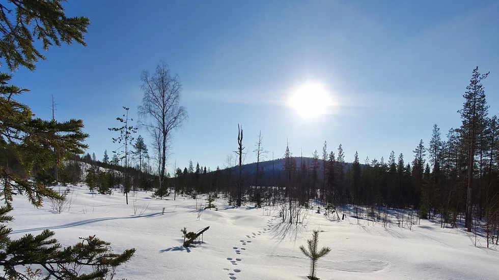 Dagen bjöd på strålande sol.