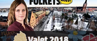 Nu startar vår valbevakning