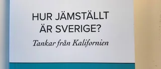 Viveca Sjöstedt jämför Sverige och USA