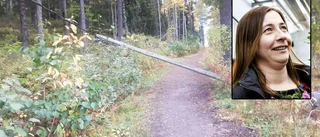 Elstolpe föll – låg över löpspår i veckor