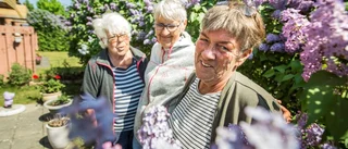 Blomvärdarna får kvarteren att blomstra
