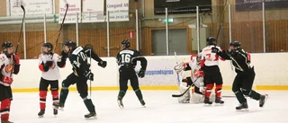 Sudrets framtid med utbildning i fokus