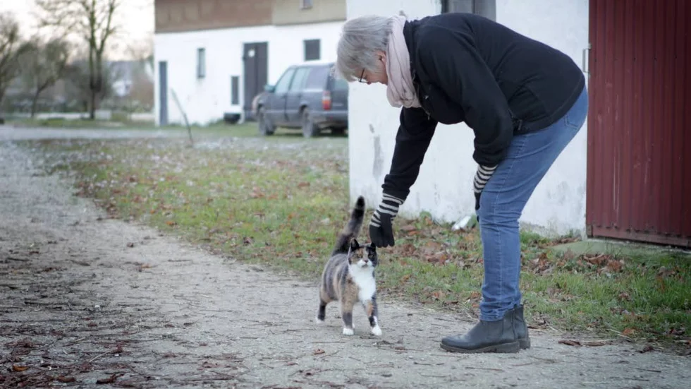 Katten Selma är lite skygg, men följer gärna med Inger Andersson för att se vad hon håller på med.