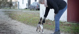 "Efter olyckan erövrade jag gården"
