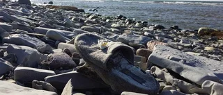 Udda skor blir vackra bilder