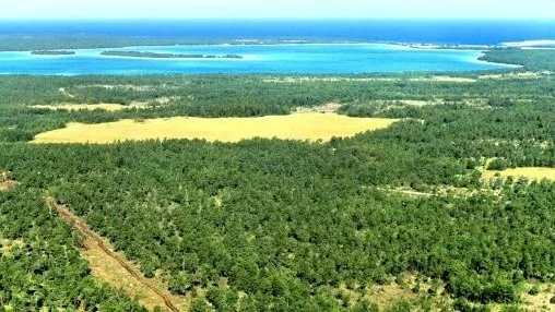 Avverkat. Nordkalk gick alldeles för hårt fram på skogen, tycker länsstyrelsen. Bilden är tagen från helikopter i går, efter att avverkningarna stoppades i helgen. Foto (stora bilden): Magnus Rietz/Baltic Sea Geographic Magazine grafik (kartan): Christer Nilsson