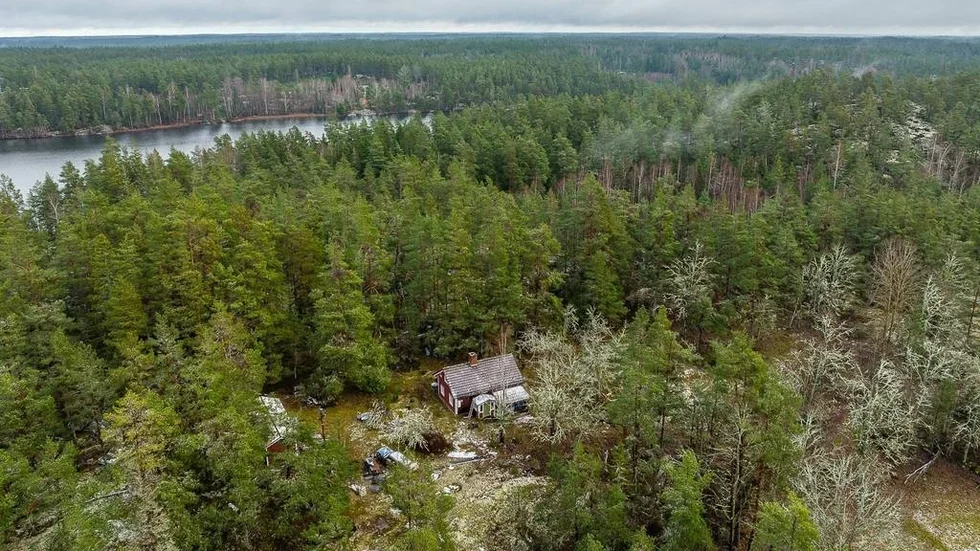 Rutviksskolan får ett stipendium för sitt arbete i projektet Naturspanare.   