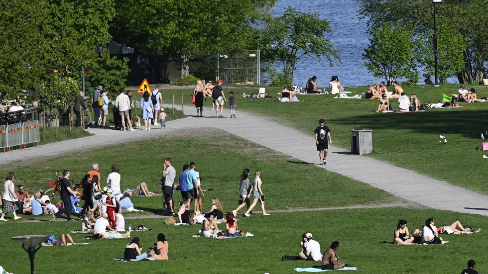 Soldyrkare i Rålambshovsparken i Stockholm. Arkivbild.