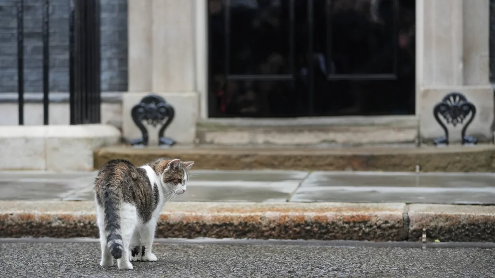 Katten Larry, Chief Mouser, är nu inne på sin sjätte premiärminister.