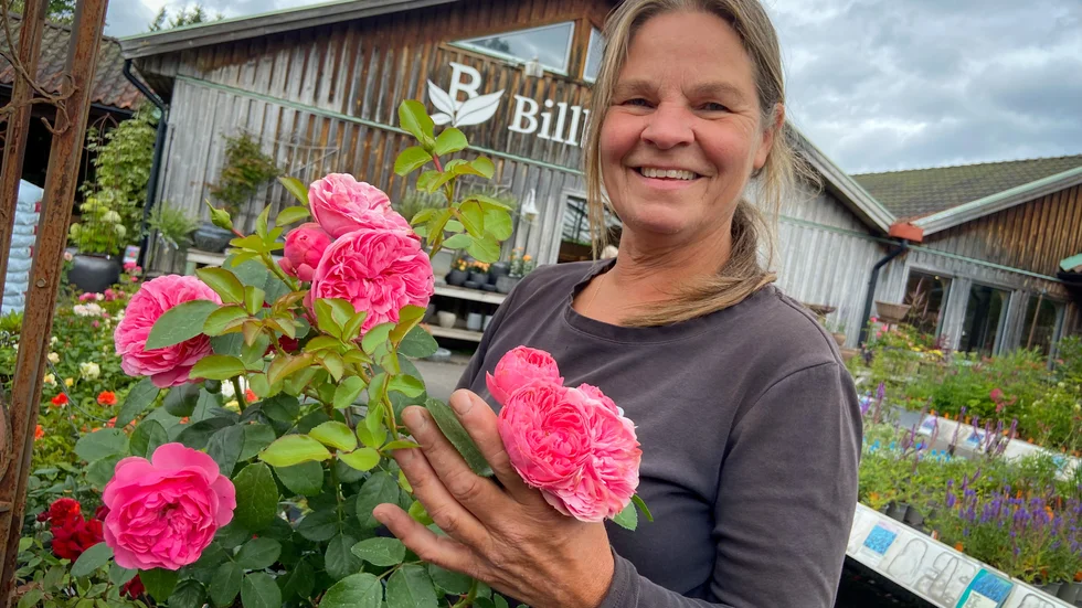 Ylva Eriksson är trädgårdsmästare på Billbäcks plantskola och har en diger kunskap om rosor. 