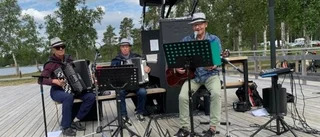 Friluftsdag i Sandviken för PRO Malmberget