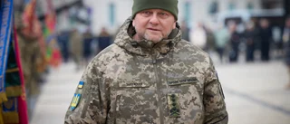 Ukrainas förre ÖB får nytt uppdrag