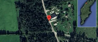 Trafikverket varnar för kor på vägen på väg 670