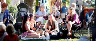 BILDEXTRA: Picnicfesten i bilder – sedan 2017