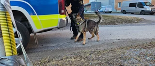 Nya uppgifter kring polisinsatsen i Luleå – grovt butiksrån 
