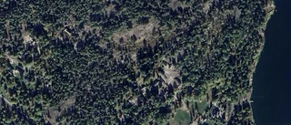 Nya ägaren ärver huset på Viltstigen 19 i Gunnebo