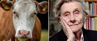 Regeringens förslag är kränkande mot Astrid Lindgren!