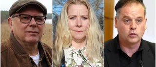 Det som behövs är mer planerbar elproduktion - inte väderberoende