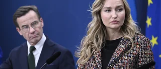 Swedish government announces key green transition appointments