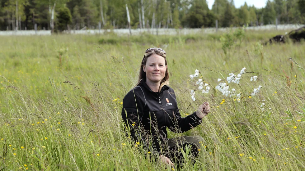 Lisa Andersson på länsstyrelsen är ansvarig för jätteprojektet i Hagebyhöga. Närmare fyra hektar mark ska omvandlas och bli ett kalkkärr.