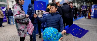 Vi behöver öka takten i EU:s klimatpolitik