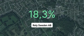 Få i branschen var bättre än Rely Sweden AB i fjol