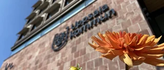 Cheferna: "Vi vill nyansera bilden"