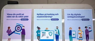 Det är företagarna som är ett sovande folk