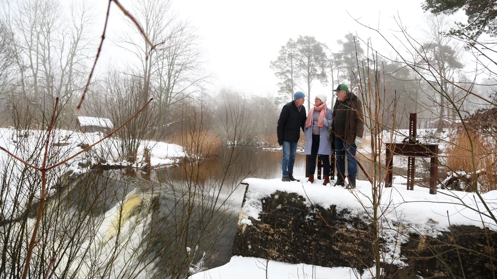 I Ireån forsar just nu smältvatten och nederbörd rakt ut i havet. Gregor Aminoff, Sten Wikström och Gabriella Hammarskjöld vill ta tillvara det och lagra i stora dammar, för att sommartid pumpa tillbaka vattnet till Tingstäde träsk.