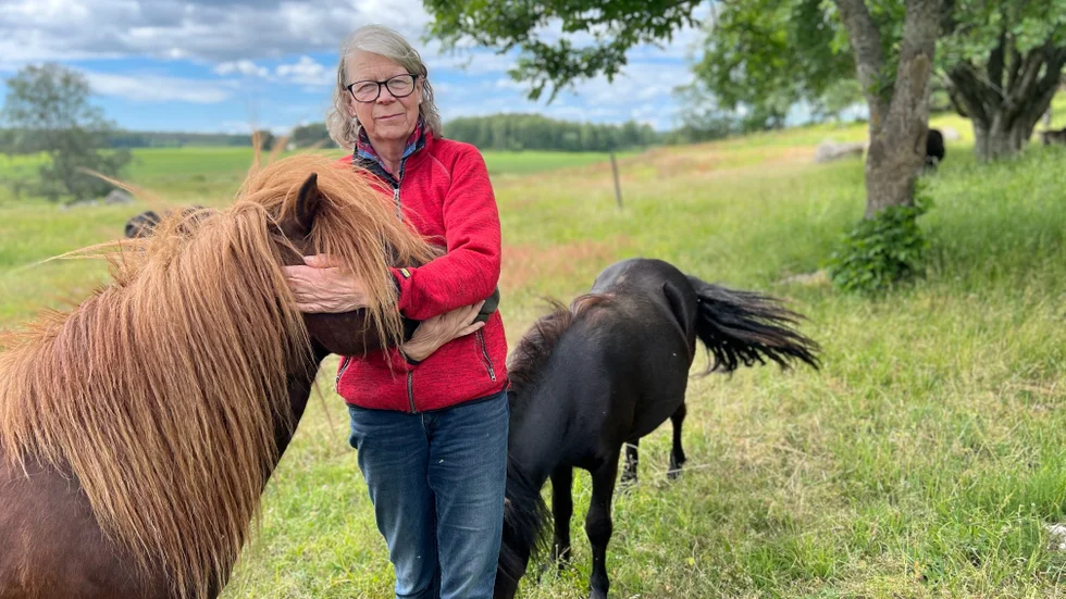 Lotta Hedborg och ponnyn Bella Treaty. Lotta fick sin första shetlandsponny som fyraåring och har sedan dess alltid haft minst en på gården. 