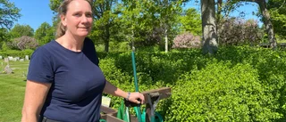 Förklaringen: Därför försvinner växterna vid graven