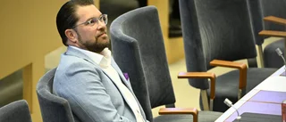 Åkesson bör stå upp för sin roll i regeringen