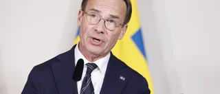 Regeringen överens om nytt stöd till Ukraina