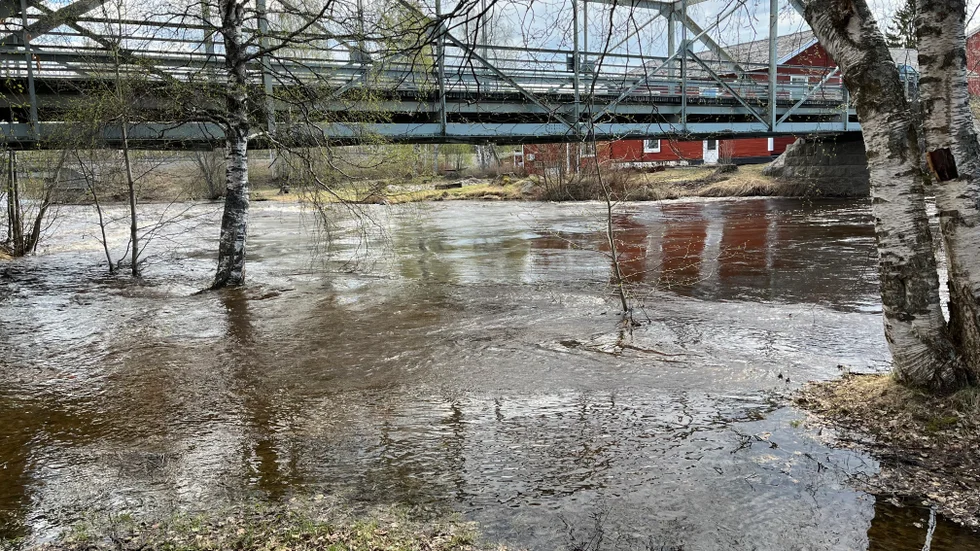 Lillpiteälven svämmar över sina bräddar vid gamla bron i Sjulnäs och SMHI har utfärdat en gul varning för höga flöden längs hela älven.