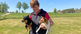Hon vill inspirera äldre hundägare att träna agility
