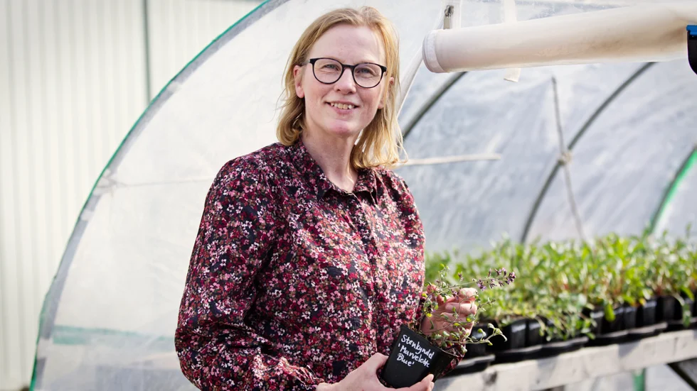 Linda Vikgren vurmar det lokala och närodlade. "För mig är det jätteviktigt att inte ha några gifter och att man odlar för pollinerarna, att man gör en insats för bin."