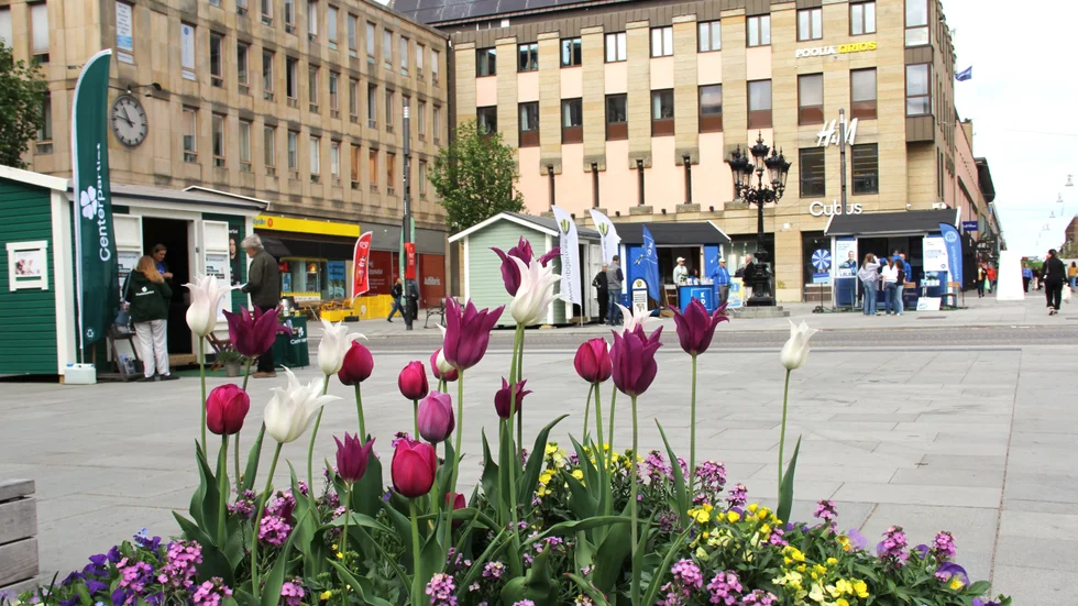 Vid valstugorna kan du ställa frågor om både EU-valet och Uppsalas folkomröstning.