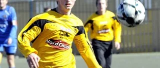 Vikarierande målare