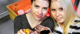 Kycklingarna kom lagom till påsk