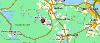 Just nu: Hunden räddad