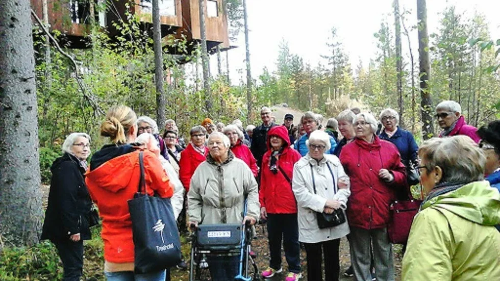 Harads. Och Treehotel var ett av utflyktsmålen för PRO:arna.