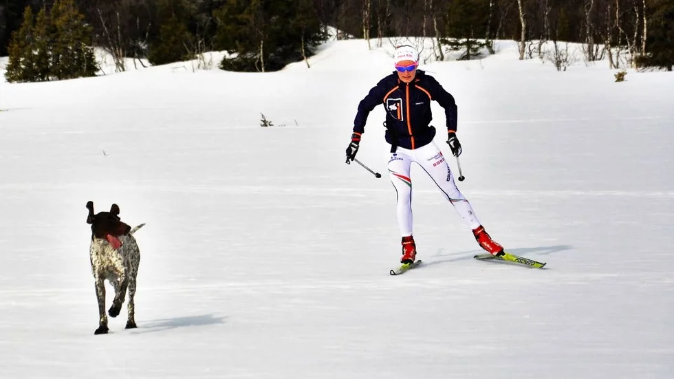 På jakt. Ett lyxproblem kanske, men nästa landslagsläger ställer till det för jaktentusiasten Sofia Henriksson, lägret ligger precis när jaktstarten går.