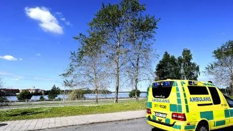 SJUKA TRÄD. Träden i slänten ser dystra och sjuka ut. Men inga livgivande insatser behövs göras av mänsklig hand. De kommer att tillfriskna av sig själva enligt parkmästaren vid parkförvaltningen.Foto: Roland S Lundström
