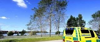 Rostangrepp gör träden sjuka