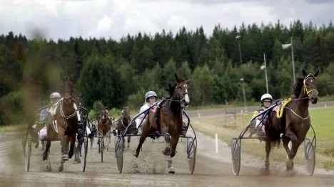 Upploppsstrid i finalen av tvååringsserien. Innerspårets Assumedtobefast med Hanna Olofsson, till höger, håller undan och vinner före Sweets Got Legacy med Gunnel Fredriksson.